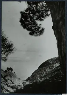Pine branches frame a view over a rocky hillside down to the sea at Vouni