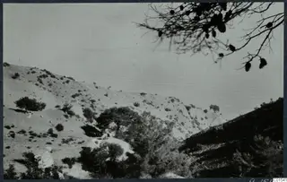 Steep scrub-covered hillside at Vouni, with the sea beyond and a pine branch with cones in the upper right