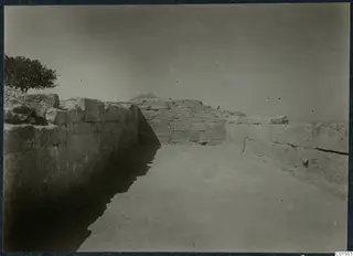 Large dressed stone walls flanking a levelled passage at Vouni, with a tree at the left edge.