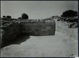 Stone wall of large squared blocks in an excavated area at Vouni, with a tree and shrubs behind.