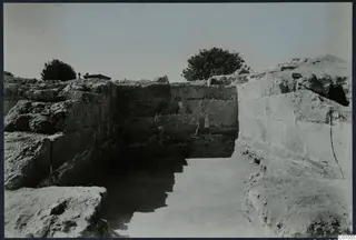 Excavated walls of large squared stone blocks at Vouni Palace, with a tree behind and a cleared floor in front