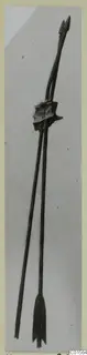 Two long metal arrows bound together by a corroded lump of metal, photographed against a plain grey background.