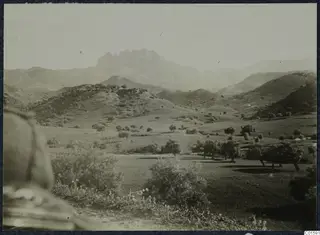Hilly rural landscape with scattered trees and a distant rocky mountain ridge.