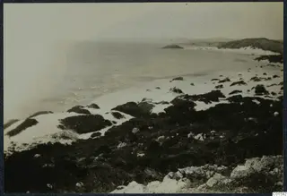 Sandy beach curving along a bay, with scrubby bushes on the dunes and a small island offshore.