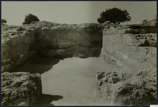 Excavated stone walls at Vouni palace, with two trees against the sky