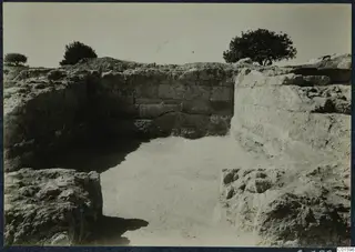 Excavated stone walls and an open floor at the palace at Vouni, with trees on the skyline.