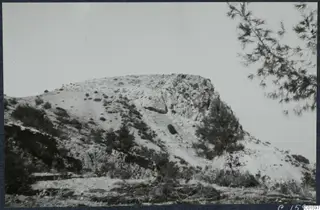 Rocky hill with scattered stones, scrub and a pine tree at Vouni