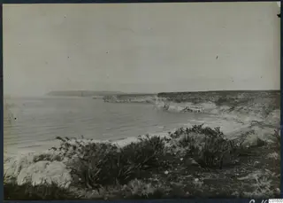 Rocky coastline with cliffs, a sandy bay and scrubby plants in the foreground, at Paphos
