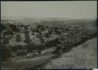 Village of buildings among scattered trees on a hillside, seen from a higher dirt track in the foreground