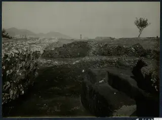 Excavated trench and low stone walls at Vouni Palace, with a small standing figure and a tree in the distance