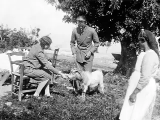Three people with a white goat under a large tree at Vouni