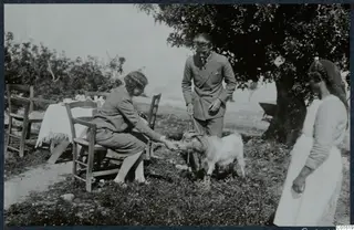 Vivi Gjerstad, Alfred Westholm and Eleni with a goat under a tree at Vouni.