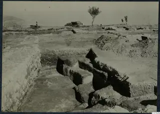 Excavated stone walls at the palace at Vouni, with a standing person and a tree in the background
