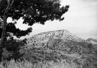 View of the Vouni hill from the west, with a pine tree in the foreground.