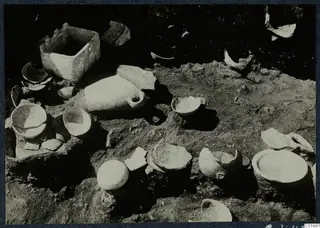 Vessels and sherds lying in situ in excavated soil at Vouni.