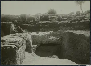 Excavation at the palace at Vouni, with stone walls, a deep trench and a small tree