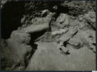 Broken stone sculpture fragments, including a head and limbs, lying in situ in excavated earth at Vouni Palace