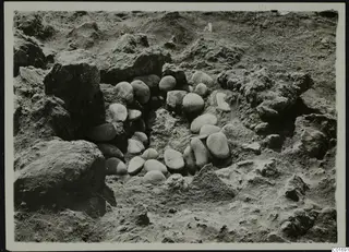 Excavated pit at Petra tou Limniti with a ring of rounded stones set around its edge.
