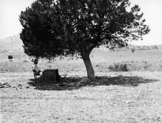 Erik Sjöqvist seated under a large spreading tree at Ayios Iakovos