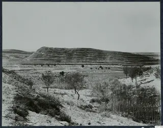 The Acropolis of Idalion seen from the east: a long flat-topped mound with stepped sides rising over open scrubland