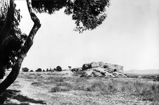Bamboula at Kition seen from the south: a ruined mound with people and animals at its base, beside a leaning tree