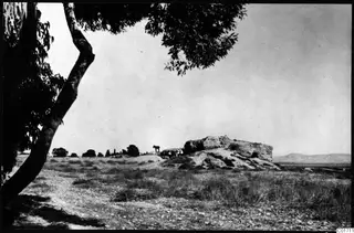 Kition, Bamboula from the south: an eroded rocky mound with small figures and an animal on top, seen past a tree.