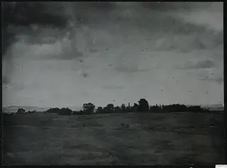 Open ground under a cloudy sky, with a line of trees, low hills in the distance and a few grazing animals
