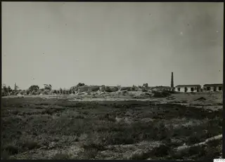 Bamboula at Kition seen from the north, with rough stone remains, trees and white buildings beyond the grassland.