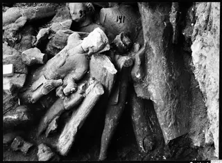Excavated stone sculpture fragments lying jumbled in soil in the cult room, large depot, Kition
