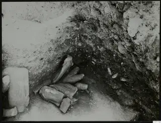 Field photograph of a cluster of broken stone pieces lying in an excavated hollow in a soil face