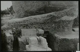 Soil section and stone pedestal in excavation at Kition, with trees at the left edge