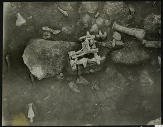 In situ bones and stones during excavation at Ayia Irini, seen from above