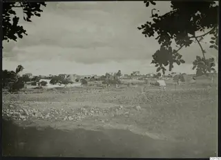 Buildings, people and trees at Ayia Irini, seen across a stony, cleared field