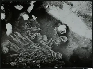 Excavated square L 11 at Ayia Irini with a mass of bones, pottery vessels and a pale figurine in situ