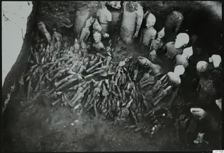 Excavation at Ayia Irini showing many figurines and sculpture fragments lying in situ in a trench.