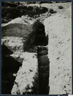 Excavation trench at Vouni with stone-lined sides, a stepped stone feature and bushes on the slope above