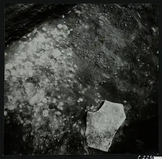 Close view of an excavated surface at Amathus with many small stones and a flat pale stone fragment at lower right