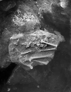 Overhead view of beads and bones lying in situ in Tomb 21 at Amathus