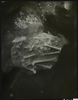 Tomb 21 at Amathus with small beads and long bones lying in situ on a rocky surface