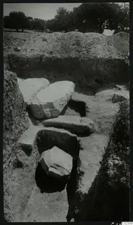 Excavation trench at Amathus with large dressed stone blocks lying in the cut and trees beyond