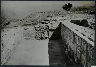 Excavated walls of squared stone and a trench at the palace at Vouni, with a tree on the hill behind.