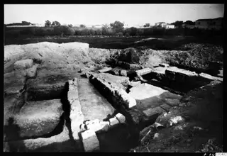 Excavated stone walls and foundations at Bamboula, with houses and trees in the background