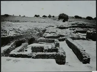 Excavated stone walls and foundations at Ayia Irini, with open ground and scattered trees behind.