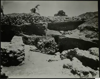 Excavated stone walls and earth terraces at the temenos at Ayia Irini, with small trees on the skyline
