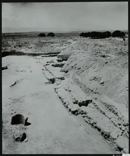 Excavation at Ayia Irini with exposed stone wall foundations, a bank of excavated earth and trees in the distance.