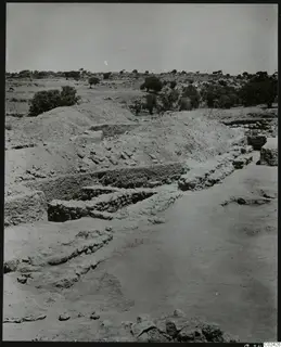 Excavated temenos at Ayia Irini with exposed stone wall foundations, earthen banks and scattered trees beyond.