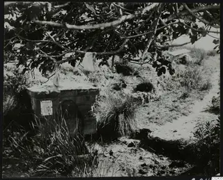 Stone block with a paper sign beside a tree in the temenos at Ayia Irini