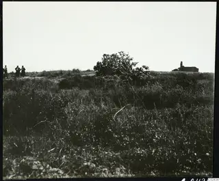 Grassy field at Ayia Irini with a tree, a ruined building on the right and three people at the left edge.