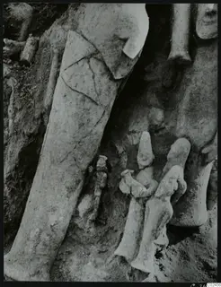 In-situ find of figures and fragments in soil during excavation at Ayia Irini