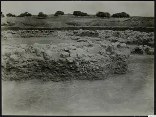 Excavation at Ayia Irini with rough stone foundations, a trench and trees on the horizon